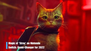 Magic of 'Stray' on Nintendo Switch: Game-Changer for 20224