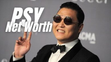 PSY Net Worth