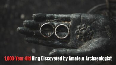 1,000-Year-Old Ring Discovered by Amateur Archaeologist