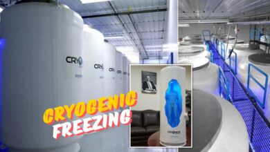 Cryogenic Freezing