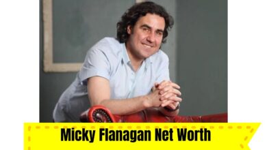 Micky Flanagan Net Worth