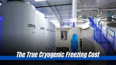 Cryogenic Freezing Cost